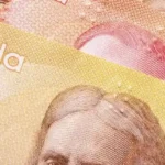 Canadian Money: Overview, Banknotes, Coins, Exchange Rate, History…